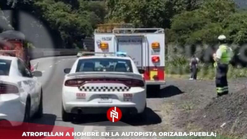 Atropellan a hombre en la autopista Orizaba-Puebla; conductor fue detenido