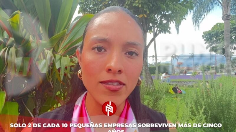 Solo 2 de cada 10 pequeñas empresas sobreviven más de cinco años