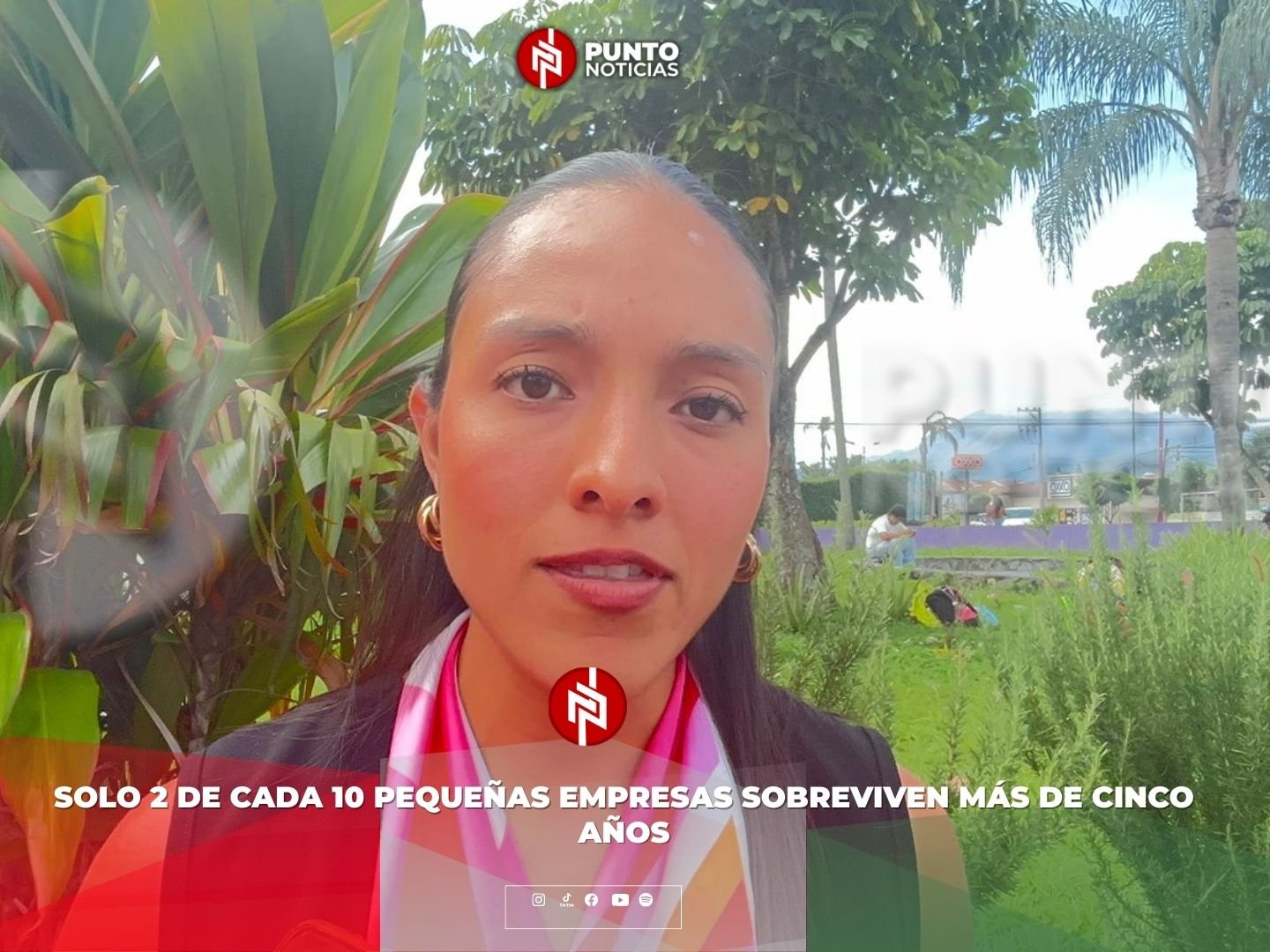 Solo 2 de cada 10 pequeñas empresas sobreviven más de cinco años