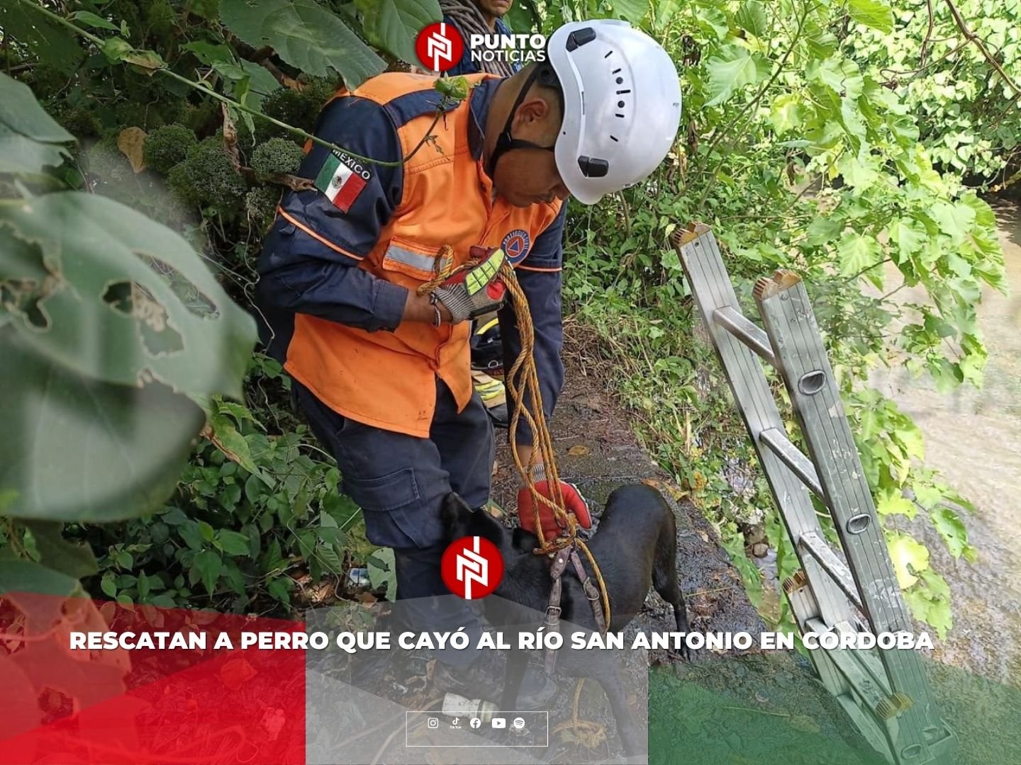 Rescatan a perro que cayó al río San Antonio en Córdoba