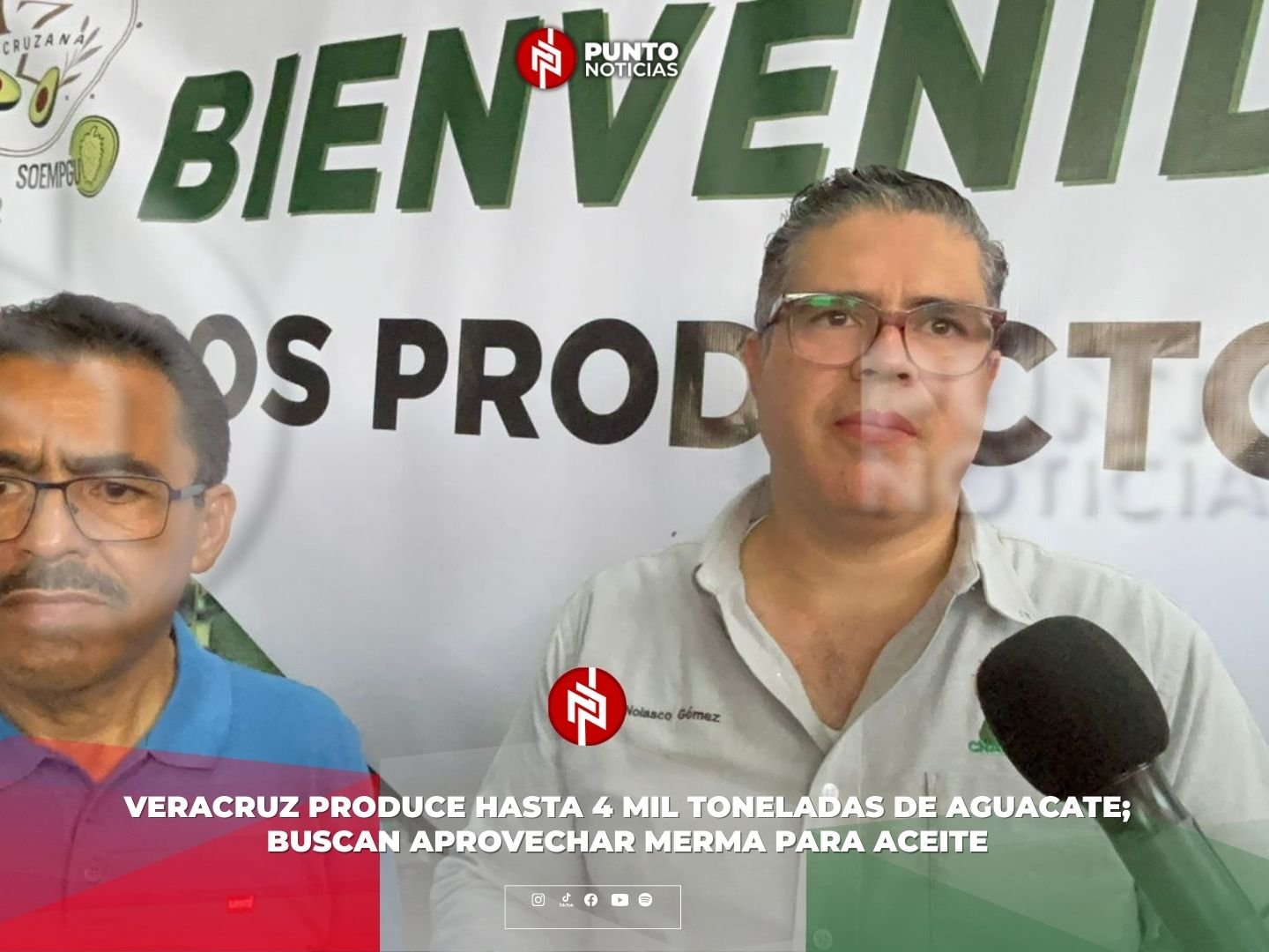 Veracruz produce hasta 4 mil toneladas de aguacate; buscan aprovechar merma para aceite