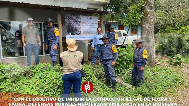 Con el objetivo de inhibir la extracción ilegal de flora y fauna, Defensas Rurales refuerzan vigilancia en la Biósfera de Los Tuxtlas