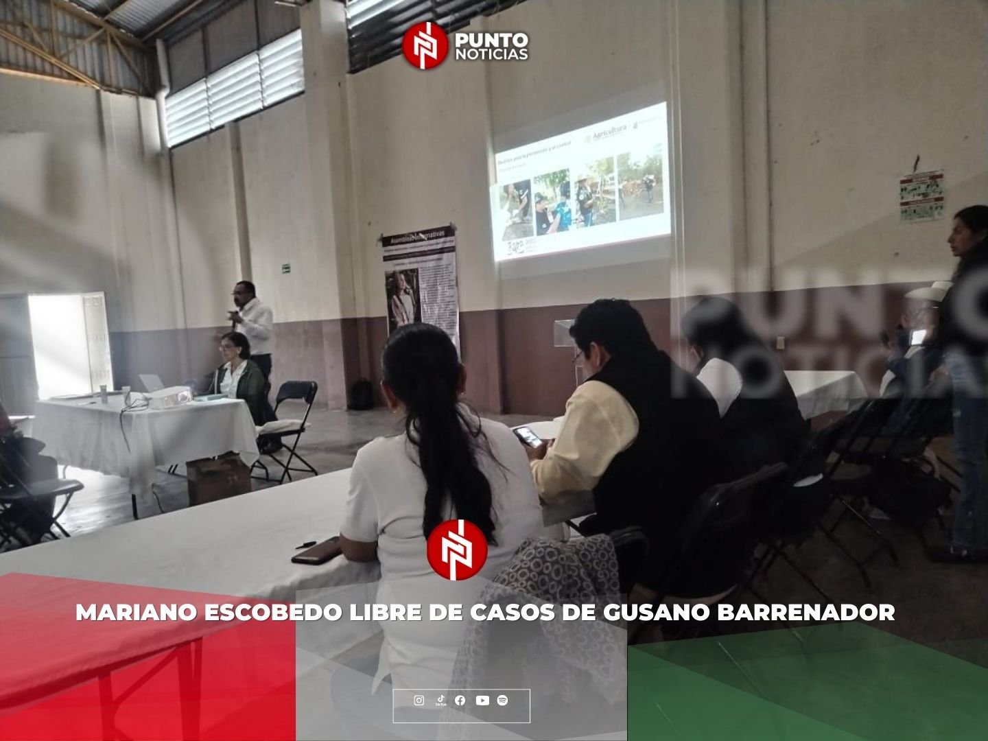 Mariano Escobedo libre de casos de gusano barrenador