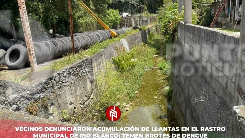 Vecinos denunciaron acumulación de llantas en el rastro municipal de Río Blanco; temen brotes de dengue