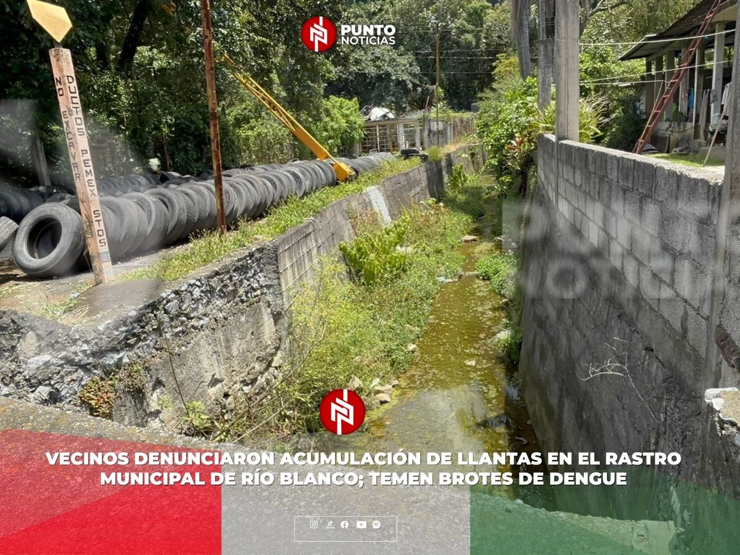 Vecinos denunciaron acumulación de llantas en el rastro municipal de Río Blanco; temen brotes de dengue